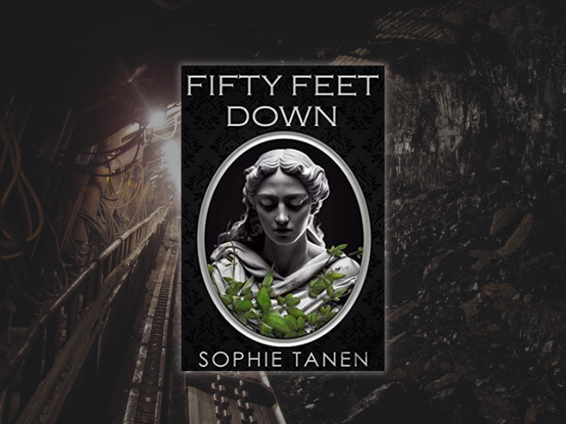 Fifty Feet Down book cover